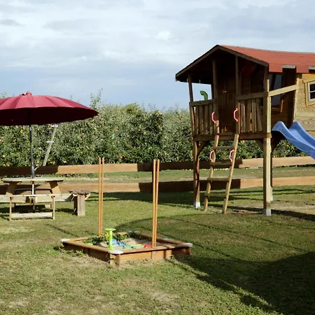 Waggershauser * فريدريشسهافن