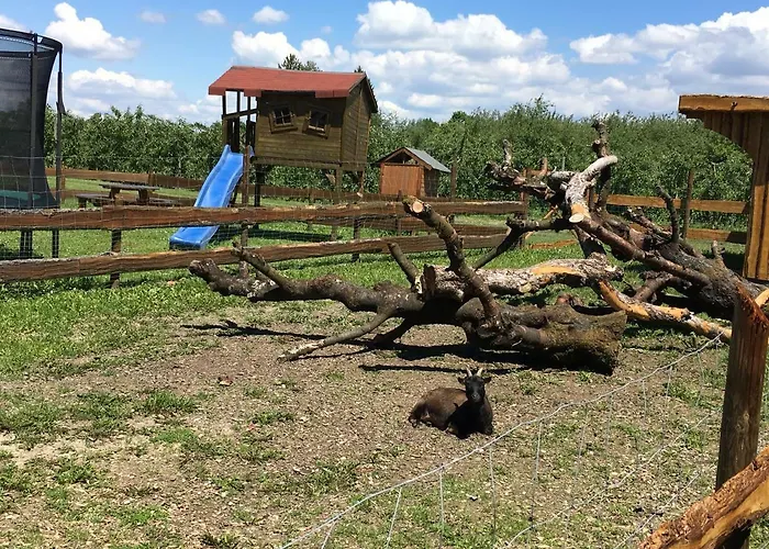 Waggershauser * Friedrichshafen